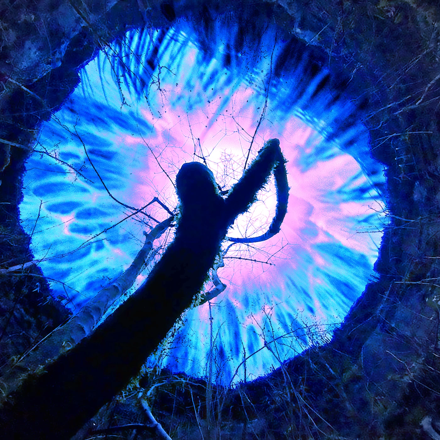 Forest Spirits's cover image